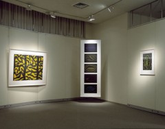 Gallery Nikko - Tokyo, Japan